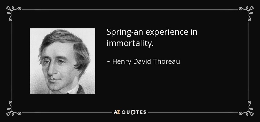 Primavera: una experiencia de inmortalidad. - Henry David Thoreau