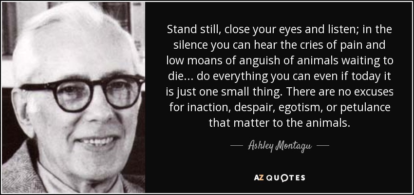 Stand still, close your eyes and listen; in the silence you can hear the cries of pain and low moans of anguish of animals waiting to die... do everything you can even if today it is just one small thing. There are no excuses for inaction, despair, egotism, or petulance that matter to the animals. - Ashley Montagu