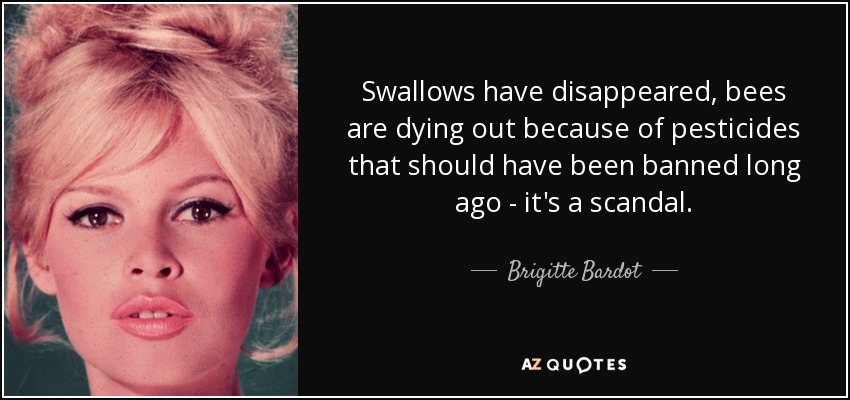 Swallows have disappeared, bees are dying out because of pesticides that should have been banned long ago - it's a scandal. - Brigitte Bardot