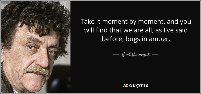 Tómalo momento a momento, y descubrirás que todos somos, como he dicho antes, bichos en ámbar. - Kurt Vonnegut