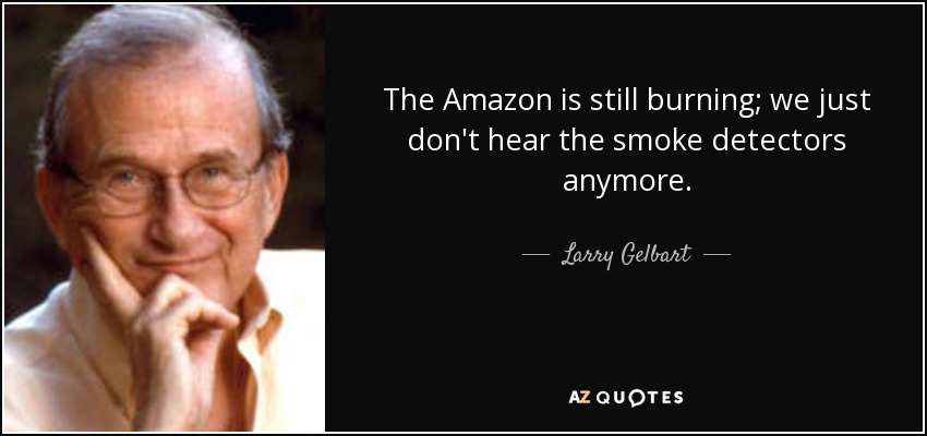 The Amazon is still burning; we just don't hear the smoke detectors anymore. - Larry Gelbart