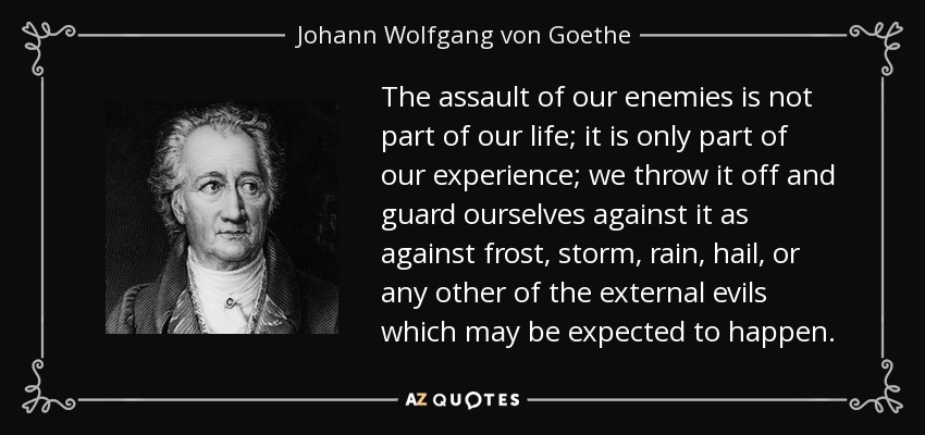 The assault of our enemies is not part of our life; it is only part of our experience; we throw it off and guard ourselves against it as against frost, storm, rain, hail, or any other of the external evils which may be expected to happen. - Johann Wolfgang von Goethe