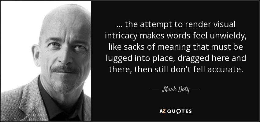 ... the attempt to render visual intricacy makes words feel unwieldy, like sacks of meaning that must be lugged into place, dragged here and there, then still don't fell accurate. - Mark Doty
