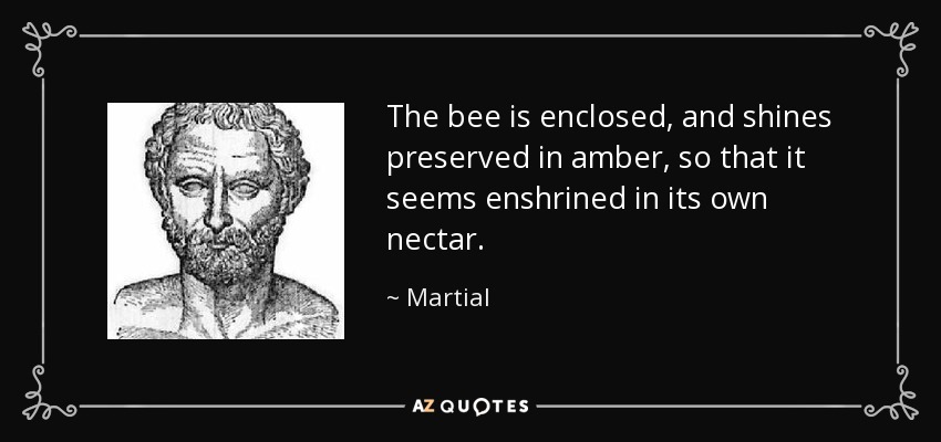 The bee is enclosed, and shines preserved in amber, so that it seems enshrined in its own nectar. - Martial