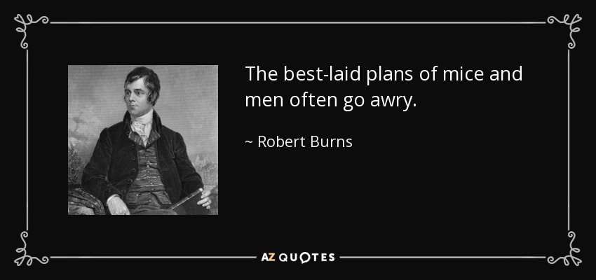 The best-laid plans of mice and men often go awry. - Robert Burns