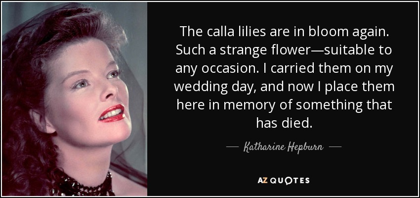 The calla lilies are in bloom again. Such a strange flower—suitable to any occasion. I carried them on my wedding day, and now I place them here in memory of something that has died. - Katharine Hepburn