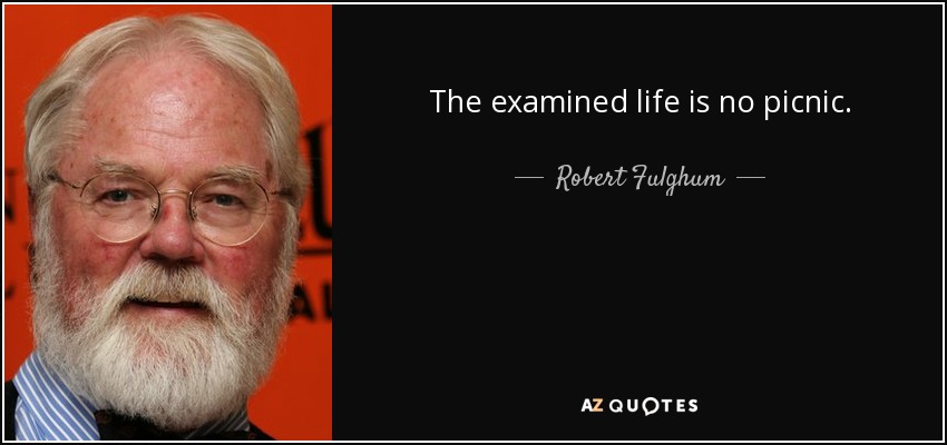 The examined life is no picnic. - Robert Fulghum