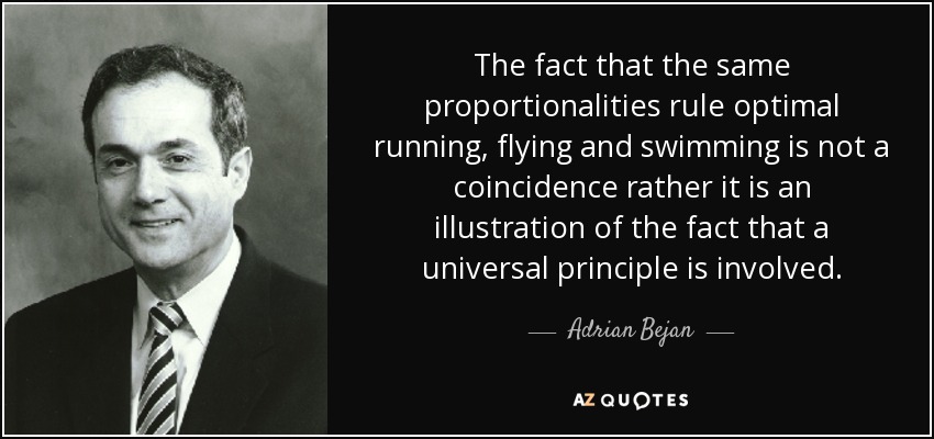 The fact that the same proportionalities rule optimal running, flying and swimming is not a coincidence rather it is an illustration of the fact that a universal principle is involved. - Adrian Bejan