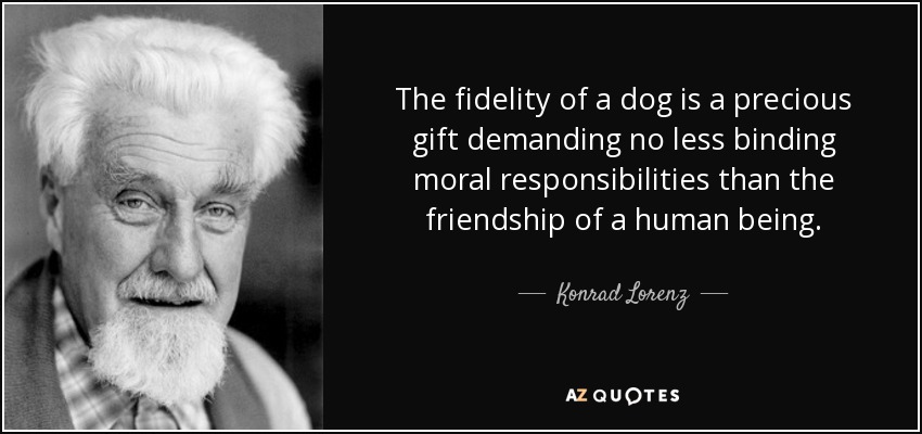 The fidelity of a dog is a precious gift demanding no less binding moral responsibilities than the friendship of a human being. - Konrad Lorenz