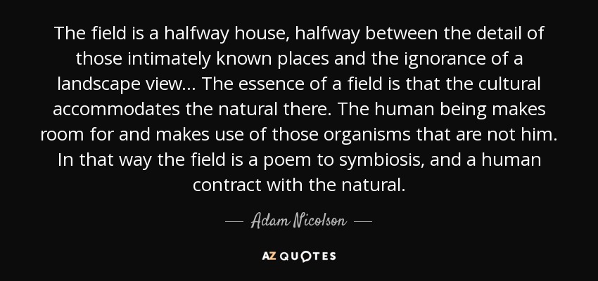 The field is a halfway house, halfway between the detail of those intimately known places and the ignorance of a landscape view ... The essence of a field is that the cultural accommodates the natural there. The human being makes room for and makes use of those organisms that are not him. In that way the field is a poem to symbiosis, and a human contract with the natural. - Adam Nicolson