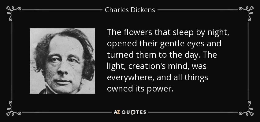 Las flores que duermen de noche, abrieron sus dulces ojos y los volvieron hacia el día. La luz, mente de la creación, estaba en todas partes, y todas las cosas poseían su poder. - Charles Dickens