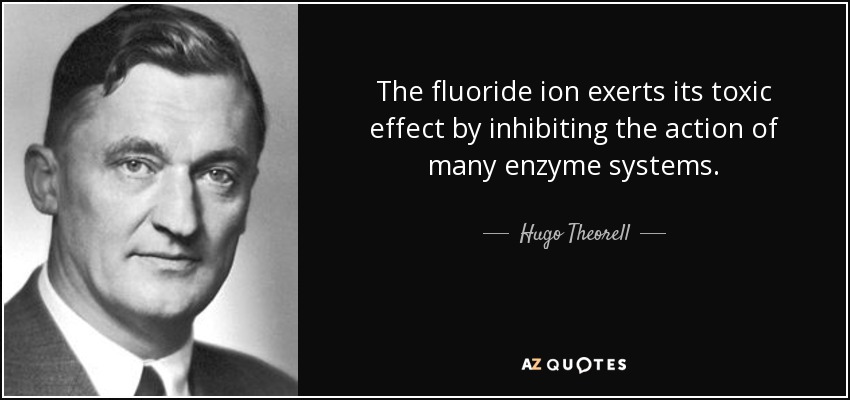 The fluoride ion exerts its toxic effect by inhibiting the action of many enzyme systems. - Hugo Theorell