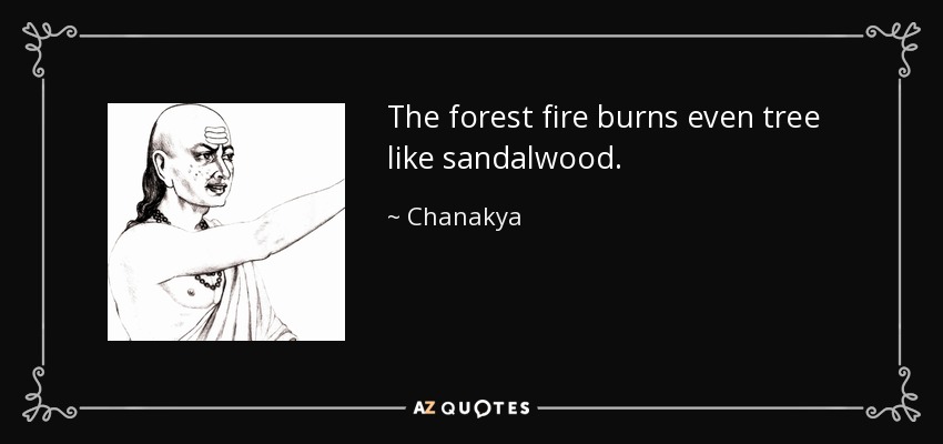 El fuego del bosque quema incluso árboles como el sándalo. - Chanakya