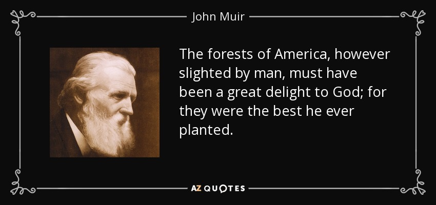 The forests of America, however slighted by man, must have been a great delight to God; for they were the best he ever planted. - John Muir