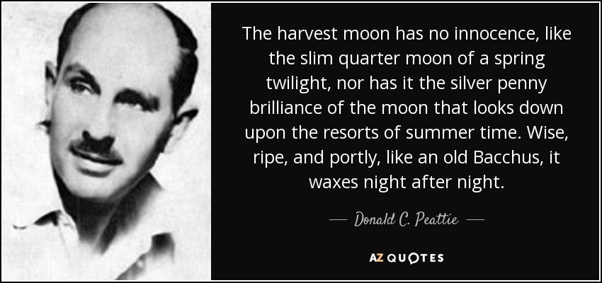 The harvest moon has no innocence, like the slim quarter moon of a spring twilight, nor has it the silver penny brilliance of the moon that looks down upon the resorts of summer time. Wise, ripe, and portly, like an old Bacchus, it waxes night after night. - Donald C. Peattie