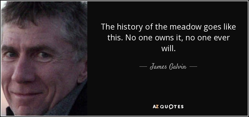 The history of the meadow goes like this. No one owns it, no one ever will. - James Galvin