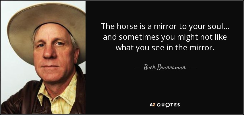 The horse is a mirror to your soul... and sometimes you might not like what you see in the mirror. - Buck Brannaman