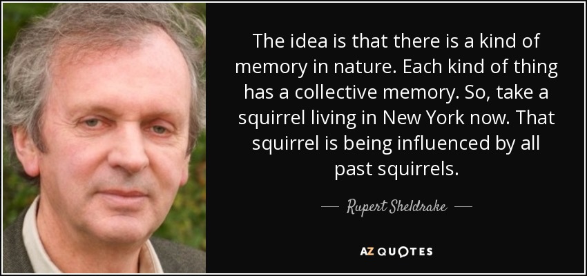 The idea is that there is a kind of memory in nature. Each kind of thing has a collective memory. So, take a squirrel living in New York now. That squirrel is being influenced by all past squirrels. - Rupert Sheldrake