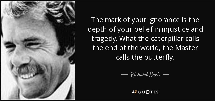The mark of your ignorance is the depth of your belief in injustice and tragedy. What the caterpillar calls the end of the world, the Master calls the butterfly. - Richard Bach