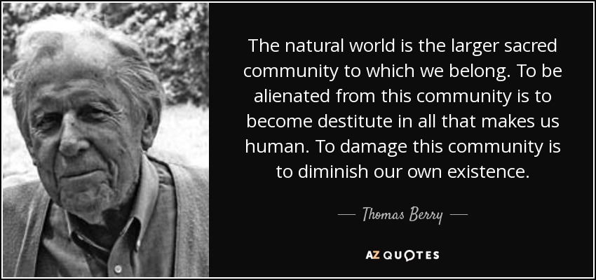 The natural world is the larger sacred community to which we belong. To be alienated from this community is to become destitute in all that makes us human. To damage this community is to diminish our own existence. - Thomas Berry