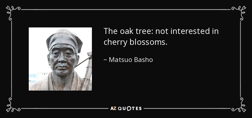 The oak tree: not interested in cherry blossoms. - Matsuo Basho