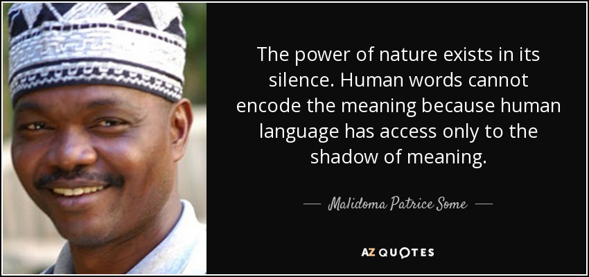 The power of nature exists in its silence. Human words cannot encode the meaning because human language has access only to the shadow of meaning. - Malidoma Patrice Some