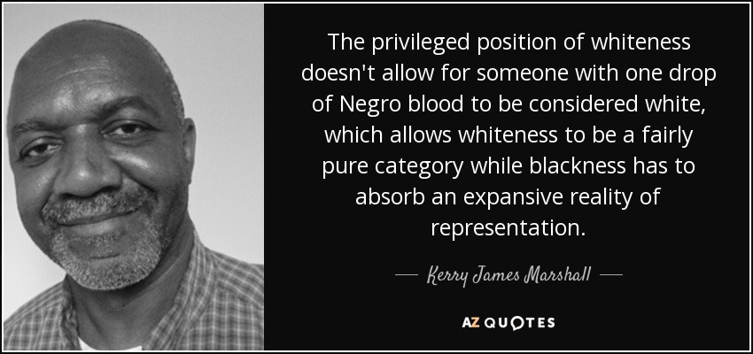 La posición privilegiada de la blancura no permite que alguien con una sola gota de sangre negra sea considerado blanco, lo que permite que la blancura sea una categoría bastante pura mientras que la negritud tiene que absorber una realidad expansiva de representación. - Kerry James Marshall