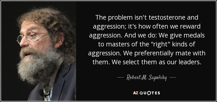 The problem isn't testosterone and aggression; it's how often we reward aggression. And we do: We give medals to masters of the 