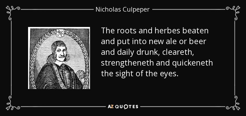 The roots and herbes beaten and put into new ale or beer and daily drunk, cleareth, strengtheneth and quickeneth the sight of the eyes. - Nicholas Culpeper