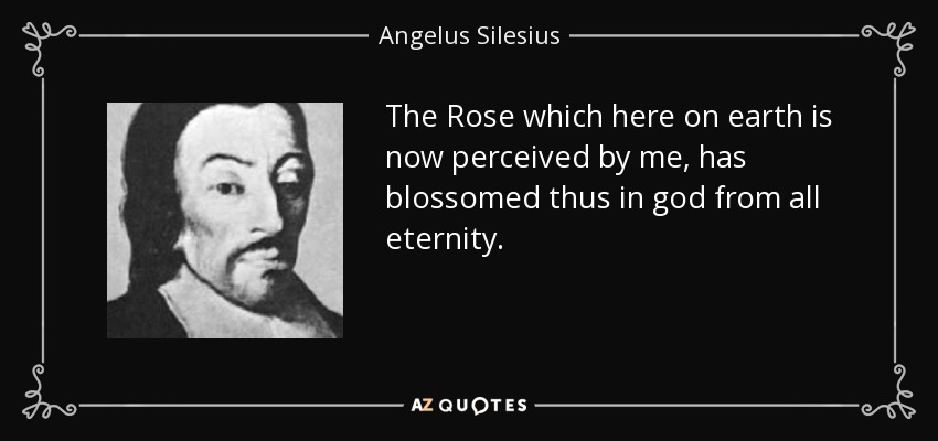 The Rose which here on earth is now perceived by me, has blossomed thus in god from all eternity. - Angelus Silesius