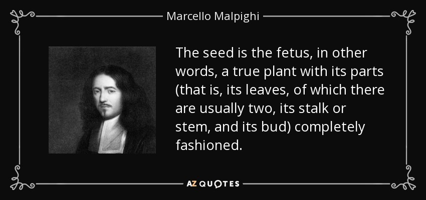 The seed is the fetus, in other words, a true plant with its parts (that is, its leaves, of which there are usually two, its stalk or stem, and its bud) completely fashioned. - Marcello Malpighi