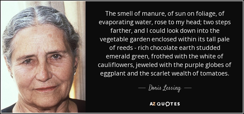 The smell of manure, of sun on foliage, of evaporating water, rose to my head; two steps farther, and I could look down into the vegetable garden enclosed within its tall pale of reeds - rich chocolate earth studded emerald green, frothed with the white of cauliflowers, jeweled with the purple globes of eggplant and the scarlet wealth of tomatoes. - Doris Lessing