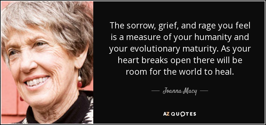 The sorrow, grief, and rage you feel is a measure of your humanity and your evolutionary maturity. As your heart breaks open there will be room for the world to heal. - Joanna Macy