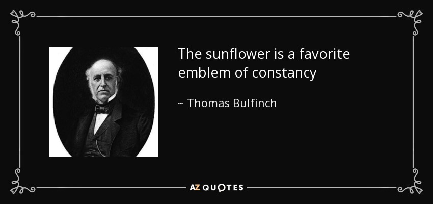 The sunflower is a favorite emblem of constancy - Thomas Bulfinch