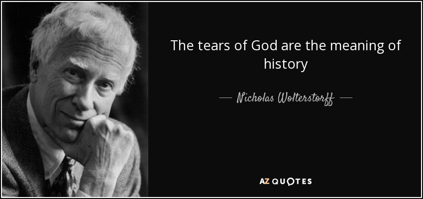 The tears of God are the meaning of history - Nicholas Wolterstorff