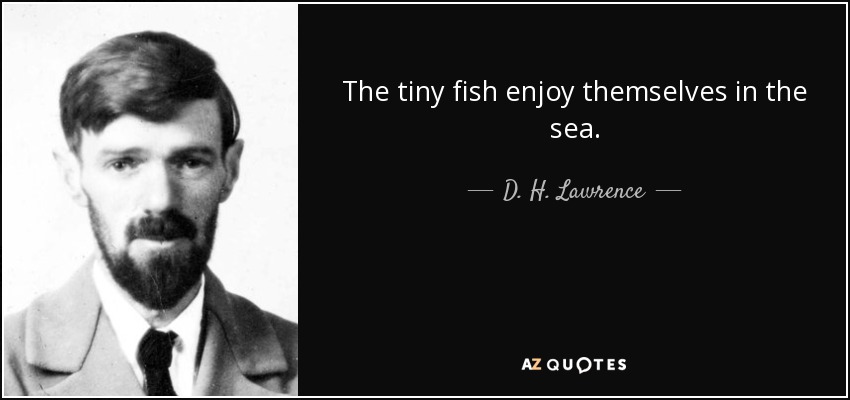 The tiny fish enjoy themselves in the sea. - D. H. Lawrence