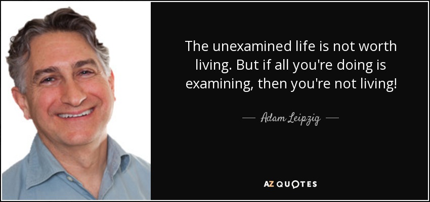 No merece la pena vivir una vida sin examinar. Pero si todo lo que haces es examinar, ¡entonces no estás viviendo! - Adam Leipzig