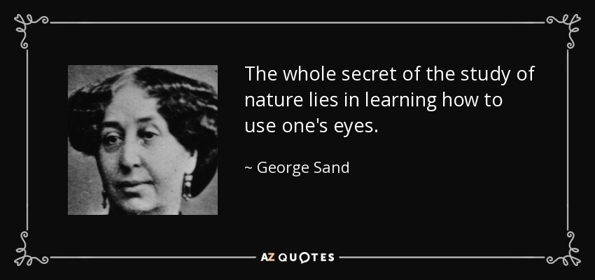 The whole secret of the study of nature lies in learning how to use one's eyes. - George Sand