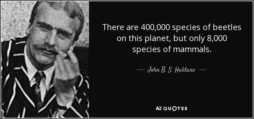 There are 400,000 species of beetles on this planet, but only 8,000 species of mammals. - John B. S. Haldane