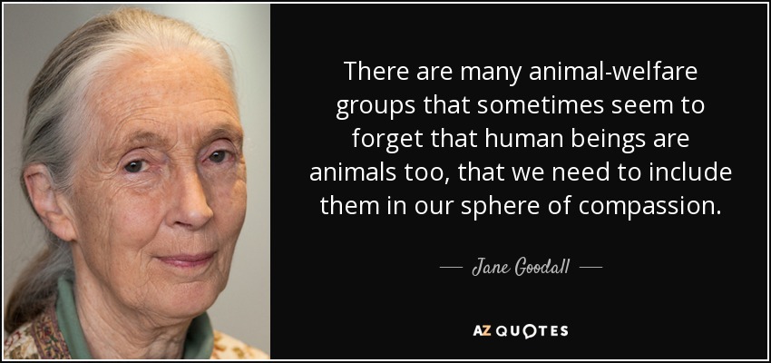 There are many animal-welfare groups that sometimes seem to forget that human beings are animals too, that we need to include them in our sphere of compassion. - Jane Goodall