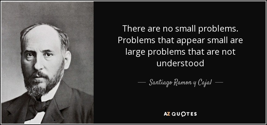 There are no small problems. Problems that appear small are large problems that are not understood - Santiago Ramon y Cajal