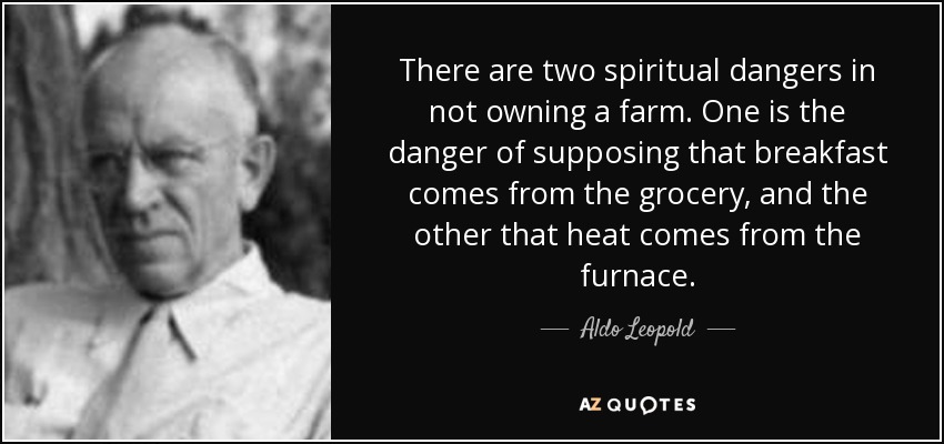 There are two spiritual dangers in not owning a farm. One is the danger of supposing that breakfast comes from the grocery, and the other that heat comes from the furnace. - Aldo Leopold