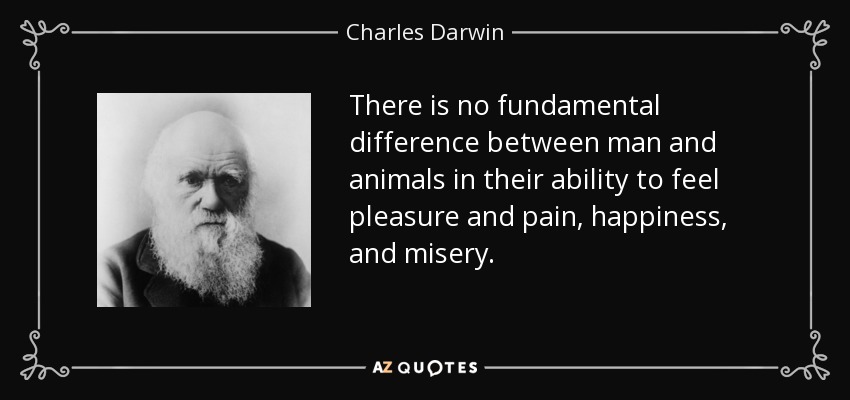 There is no fundamental difference between man and animals in their ability to feel pleasure and pain, happiness, and misery. - Charles Darwin