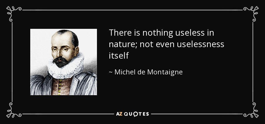 There is nothing useless in nature; not even uselessness itself - Michel de Montaigne