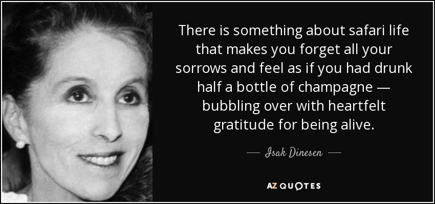 There is something about safari life that makes you forget all your sorrows and feel as if you had drunk half a bottle of champagne — bubbling over with heartfelt gratitude for being alive. - Isak Dinesen