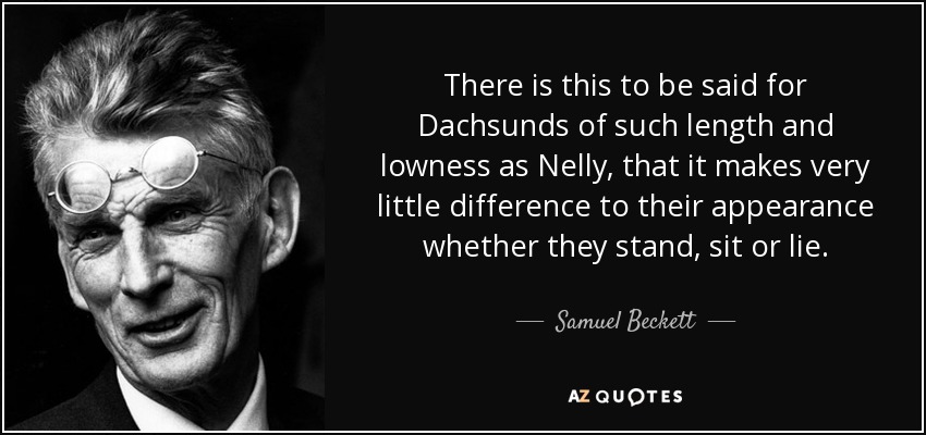 There is this to be said for Dachsunds of such length and lowness as Nelly, that it makes very little difference to their appearance whether they stand, sit or lie. - Samuel Beckett