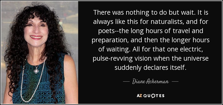 There was nothing to do but wait. It is always like this for naturalists, and for poets--the long hours of travel and preparation, and then the longer hours of waiting. All for that one electric, pulse-revving vision when the universe suddenly declares itself. - Diane Ackerman