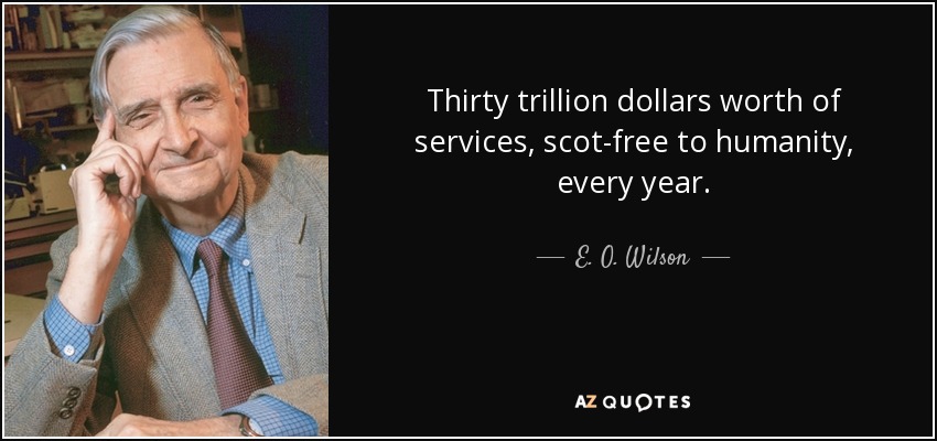 Thirty trillion dollars worth of services, scot-free to humanity, every year. - E. O. Wilson