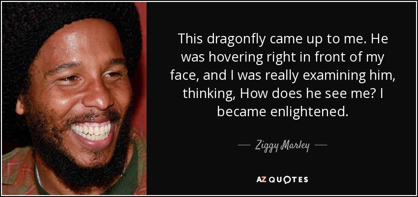 This dragonfly came up to me. He was hovering right in front of my face, and I was really examining him, thinking, How does he see me? I became enlightened. - Ziggy Marley