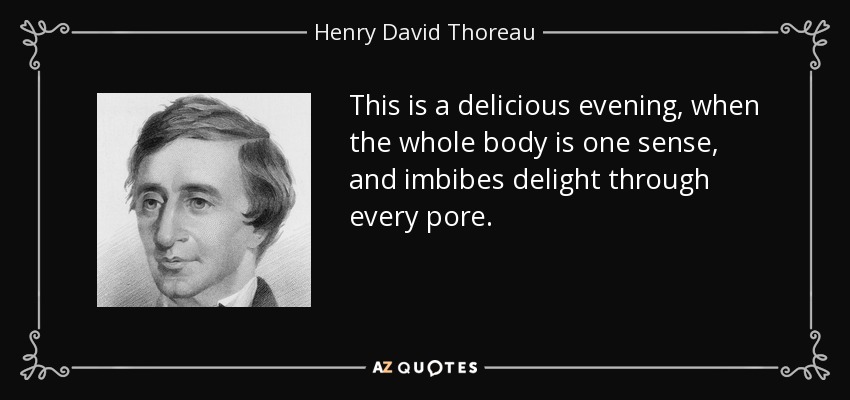 This is a delicious evening, when the whole body is one sense, and imbibes delight through every pore. - Henry David Thoreau